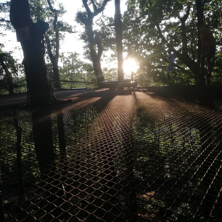 Le trampoforest