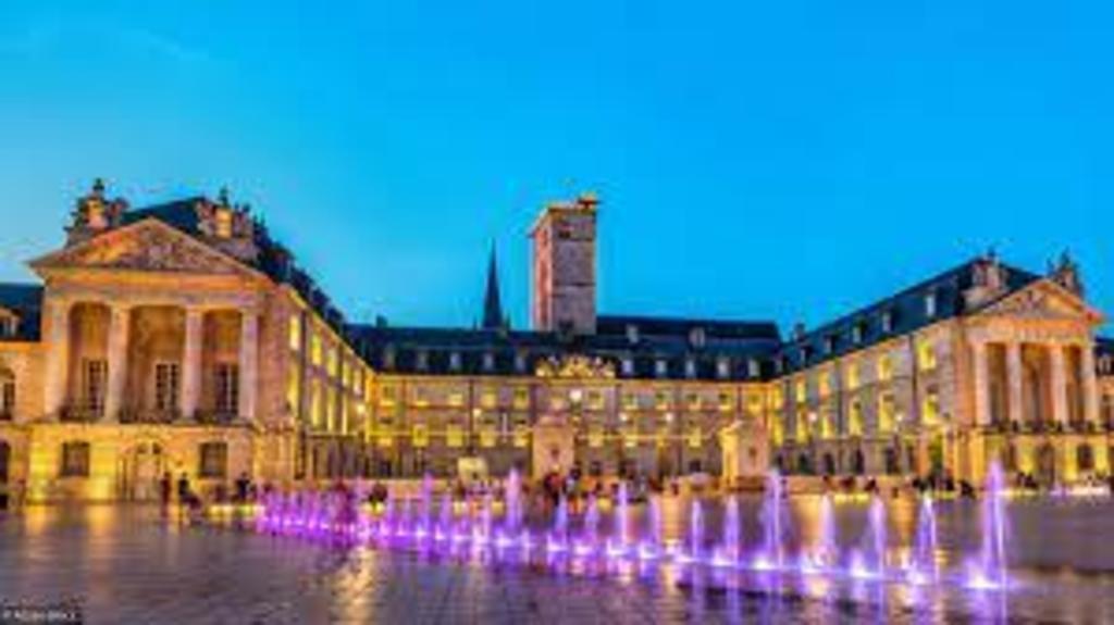 Dijon, Capital of Burgundy (45 min from our house, by car)
