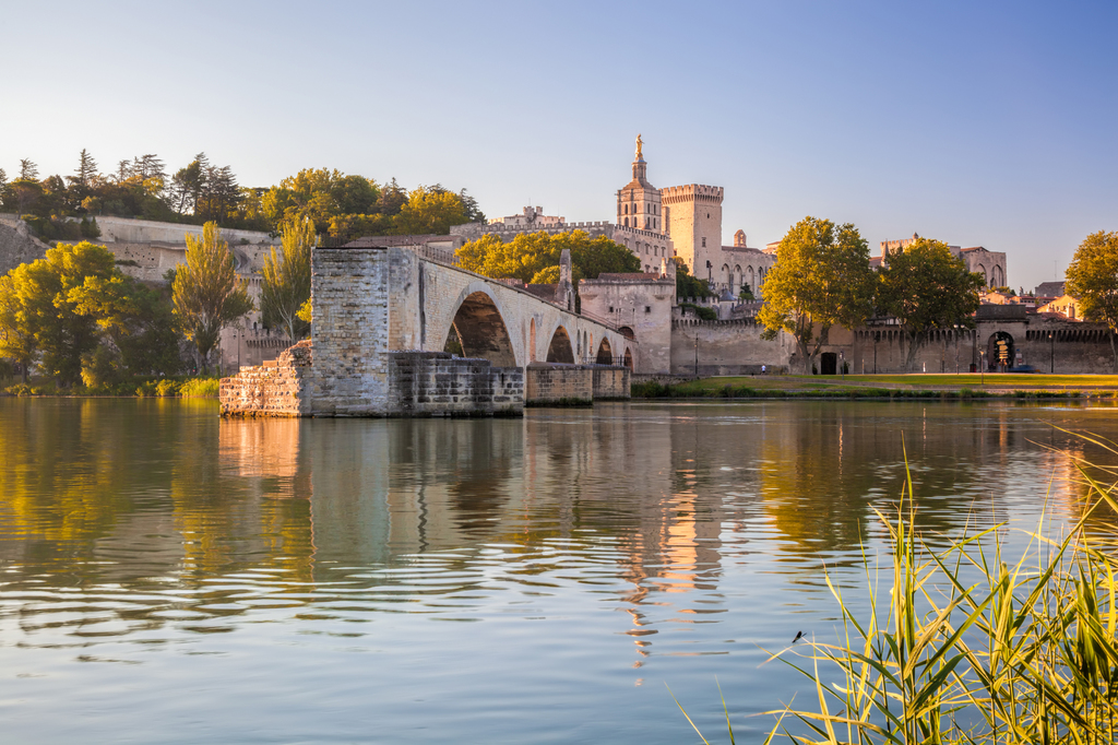 Avignon city (80 kms from Pertuis)