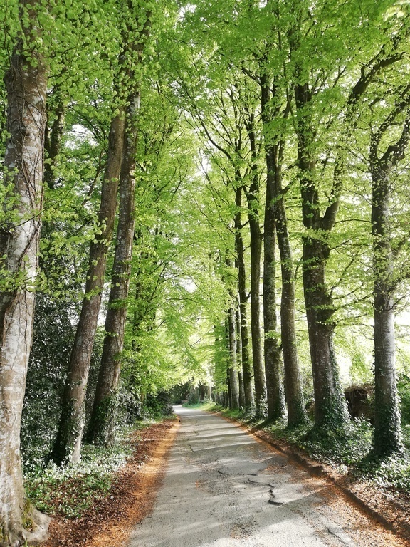 L'allée de notre maison