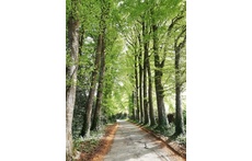 L'allée de notre maison