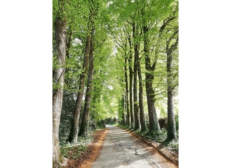 L'allée de notre maison