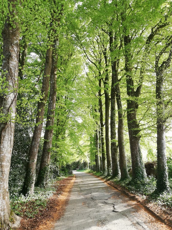 L'allée de notre maison