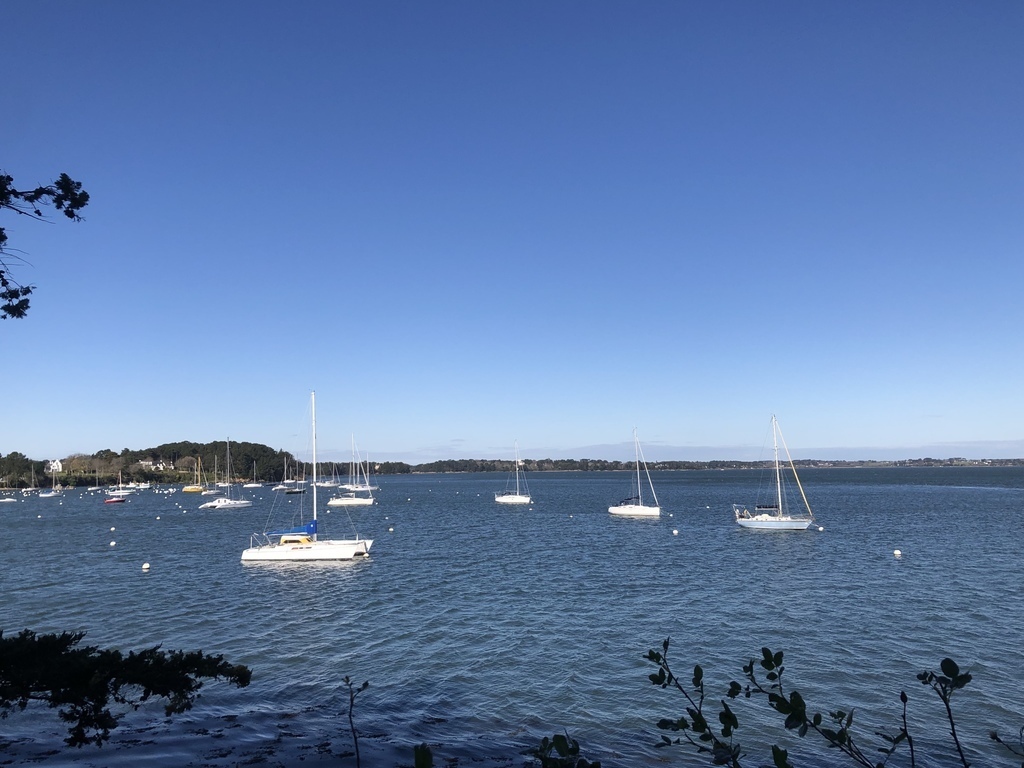 Golfe du Morbihan
