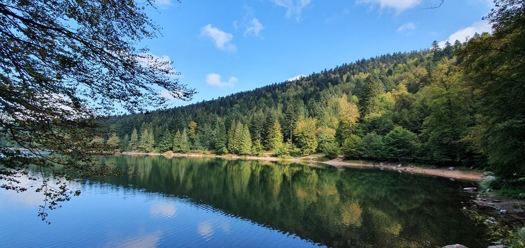 Vosges lake