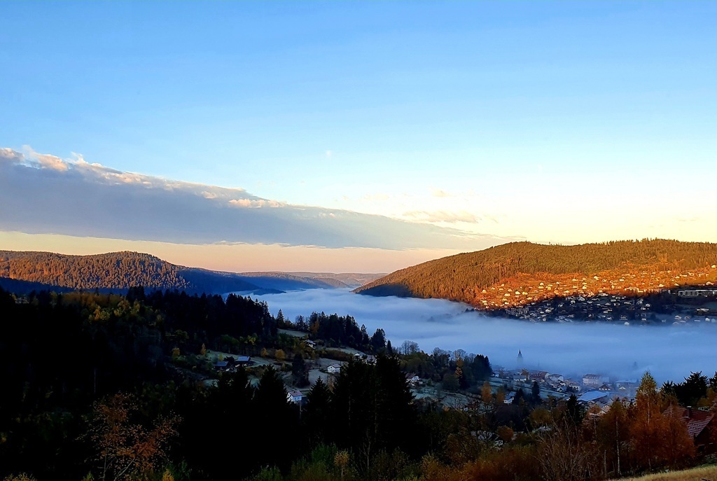 Morning view from the living room 