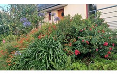 Jardin côté Nord et entrée