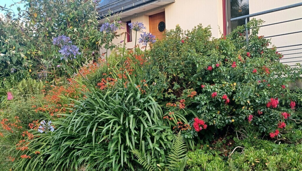 Jardin côté Nord et entrée