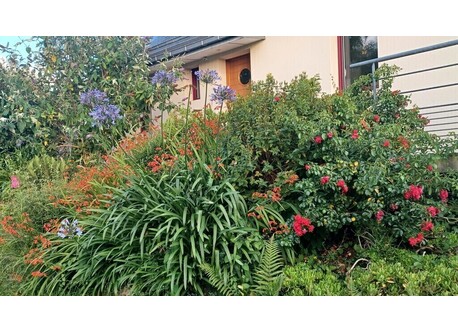 Jardin côté Nord et entrée