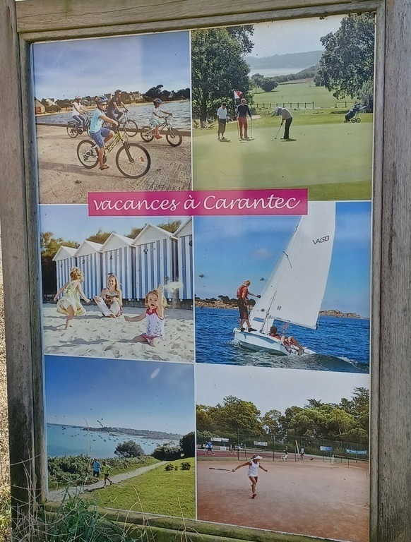 Des activités proposées