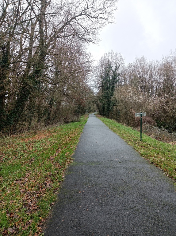 promenade près de la maison