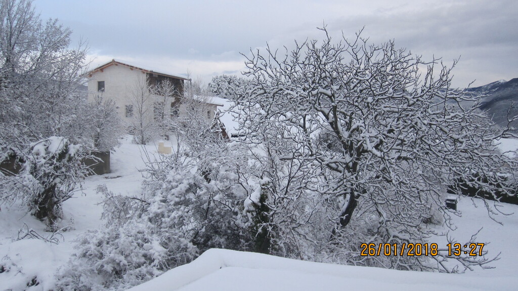 Hiver 2021 à Beaufort 