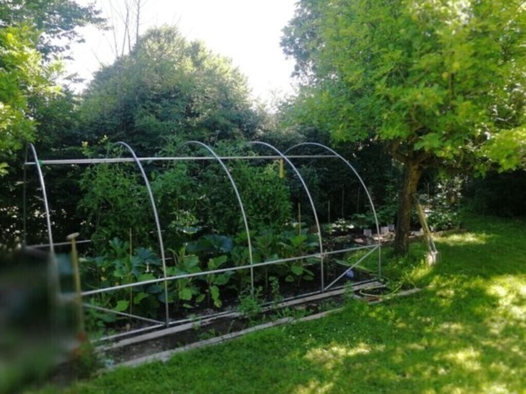 vegetable garden