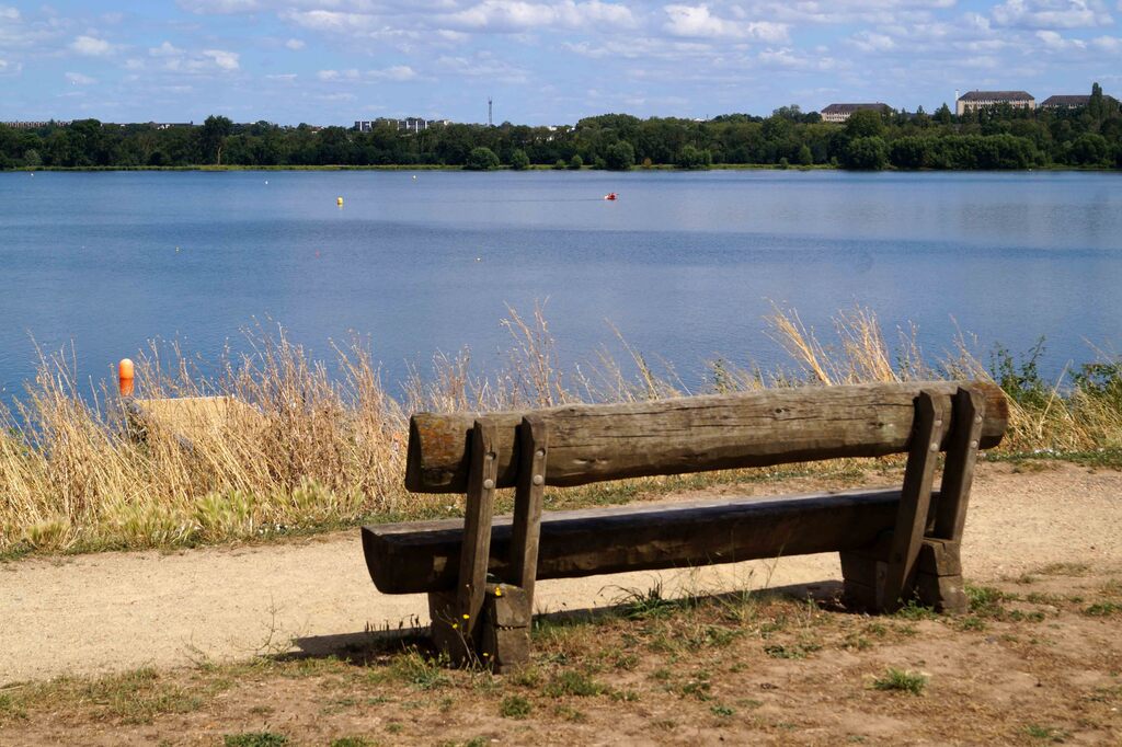 Les bords de Loire à Bouchemaine