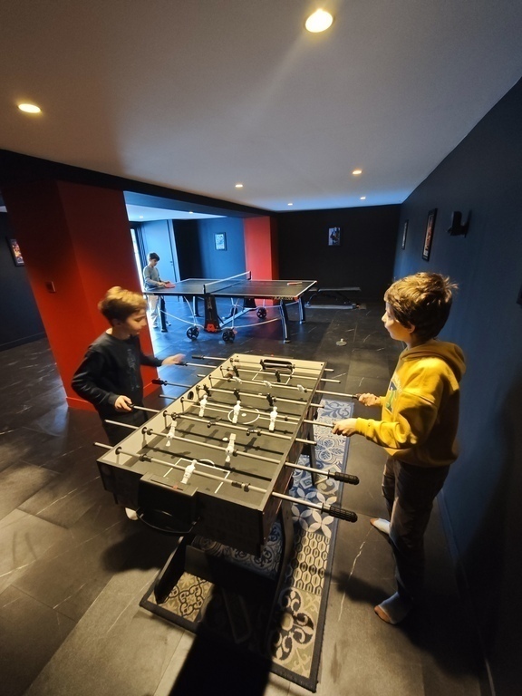 Gaming room in the basement