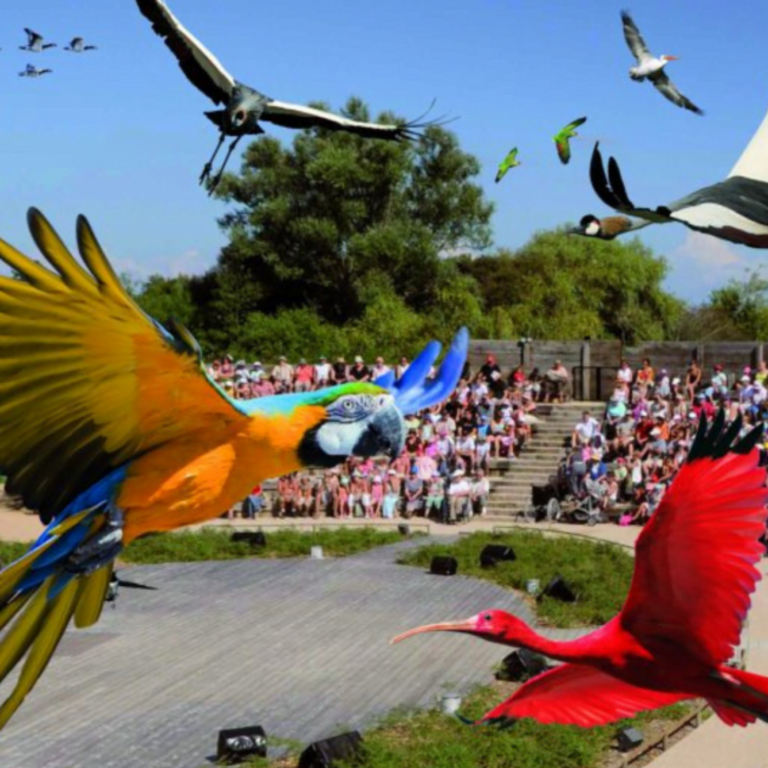 Parc des Oiseaux : 35 hectares and 300 worldwild birds  (1 hour drive)
