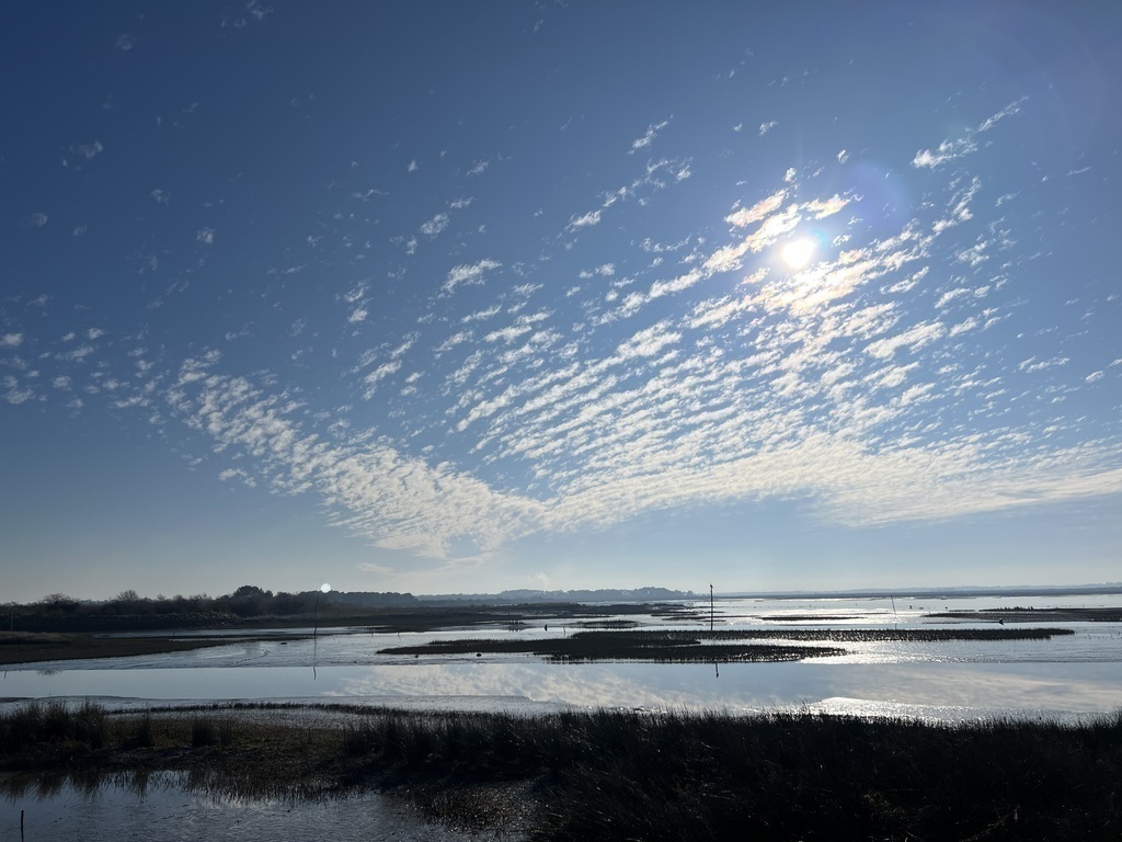 Le bassin d’Arcachon