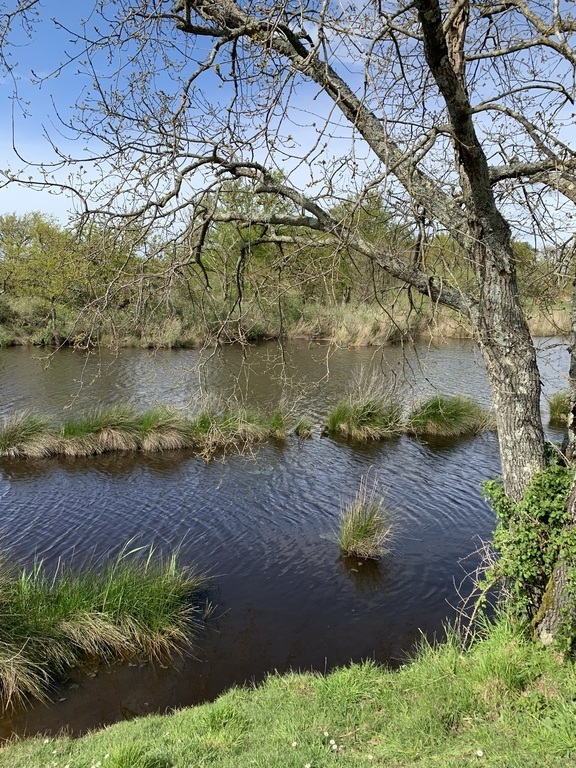 Le Domaine de Certes et Graveyron
