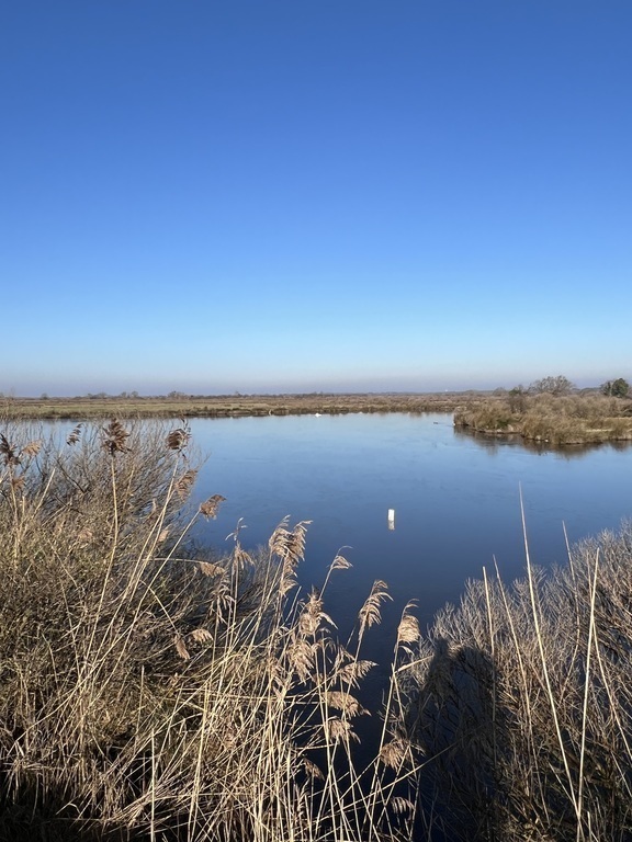Le Domaine de Certes et Graveyron