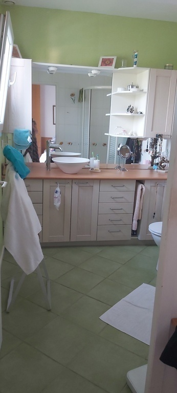 En suite shower room and toilet for downstairs bedroom