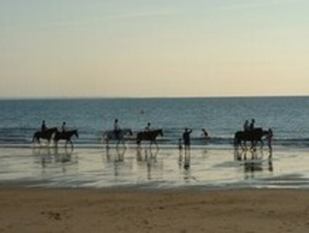 Région avec beaucoup d'activités équestres 