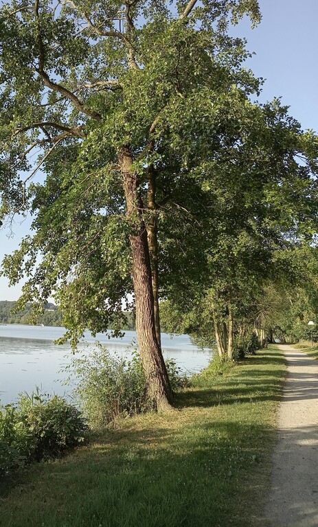 Bord du lac de Bain de Bretagne.