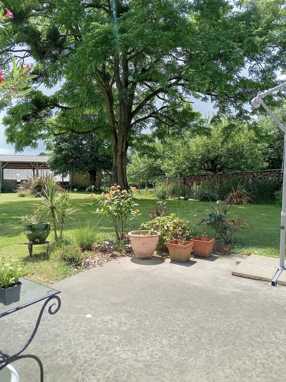 Le jardin avec l'arbre faisant de l'ombre, appréciable pendant les chaleurs.