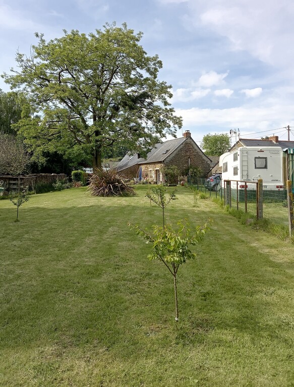 Vue du bas du jardin.