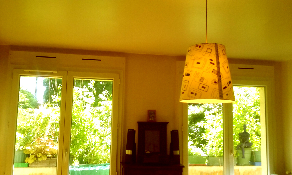 salon avec vue sur le jardin intérieur