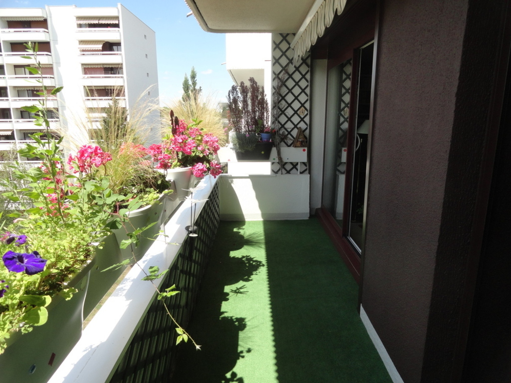 view from the balcony to the north