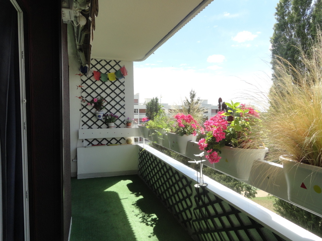 view from the balcony towards the south