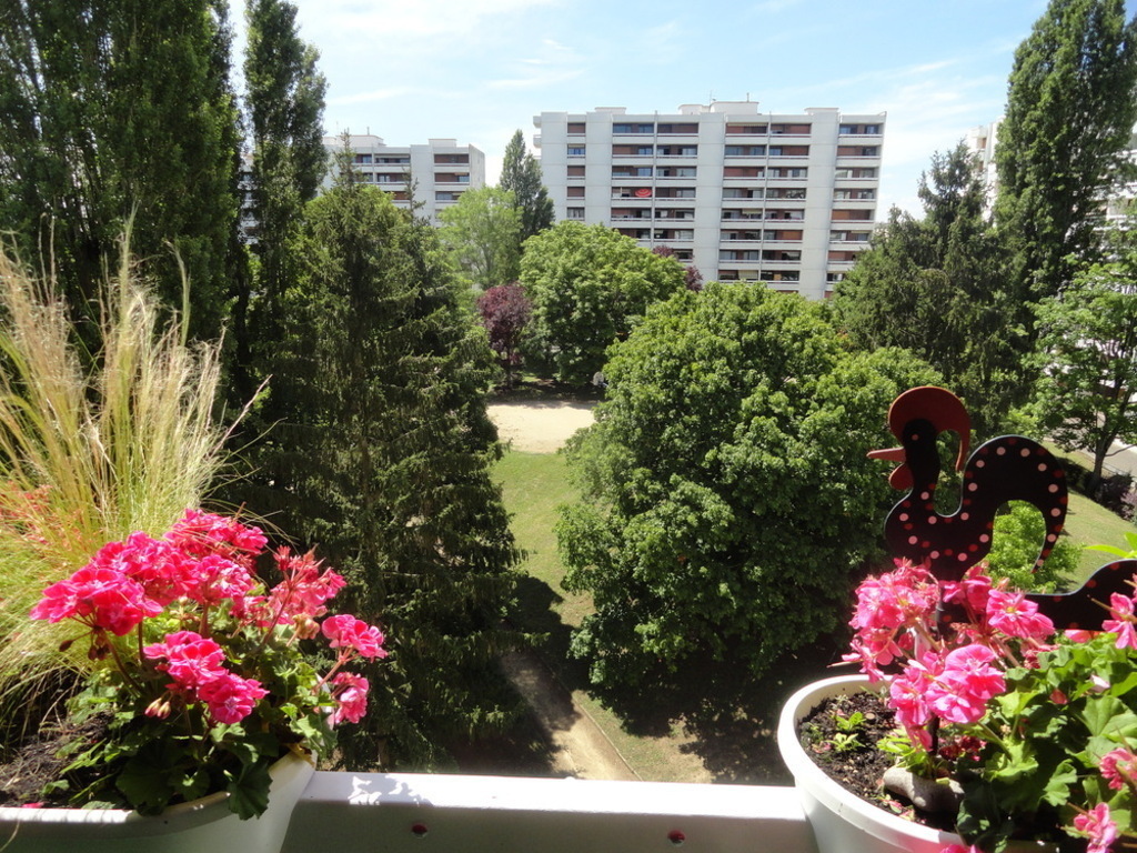 le parc vu du balcon de l'appartement