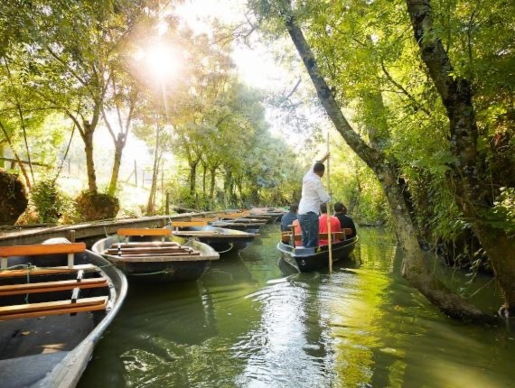 Le marais poitevin ("La Venise verte")