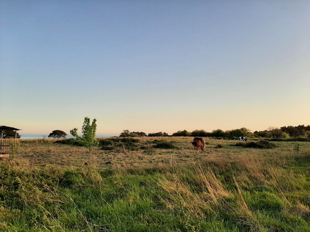 balade à 5 mn