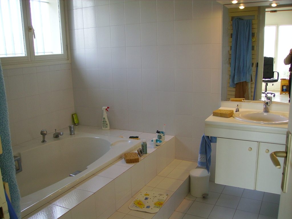 Salle de bains