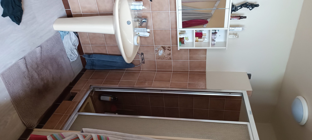 Salle de bain partie douche . Il y a baignoire , wc, et double lavabo