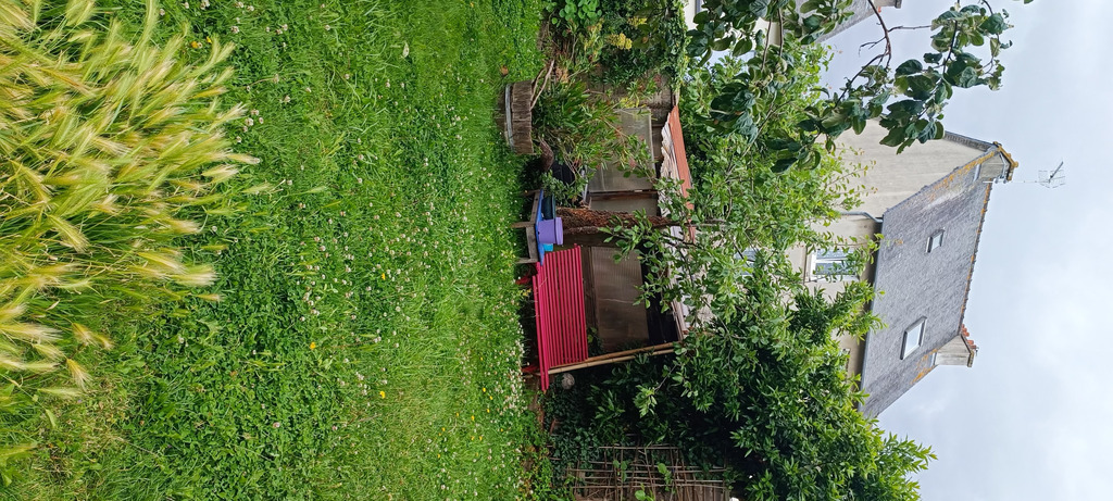 Vue du jardin depuis la terrasse du jardin