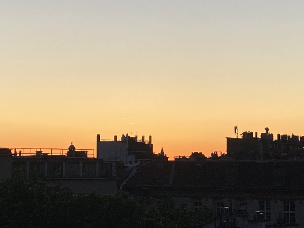 Vue sur les toits de Paris 