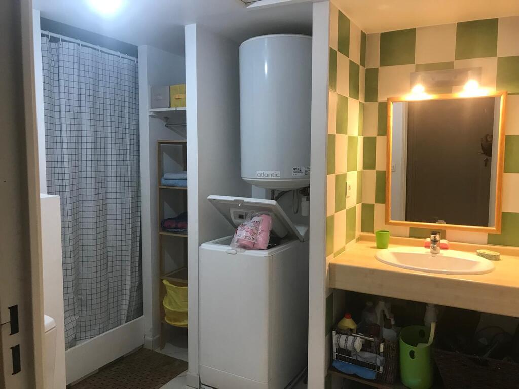 Salle de bains (vasque et douche)