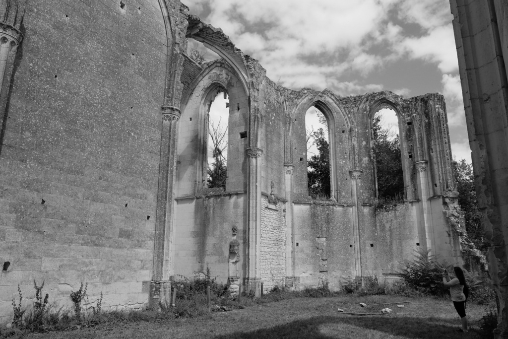 Ruines de la collégiale de la Roche Tranchelion dans la vallée de la Manse.