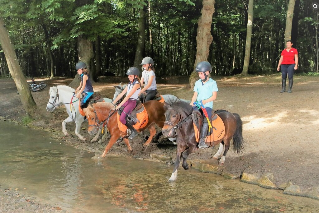 Horse Ride (Bois Vincennes)