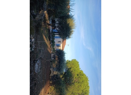 Jardin coté ouest