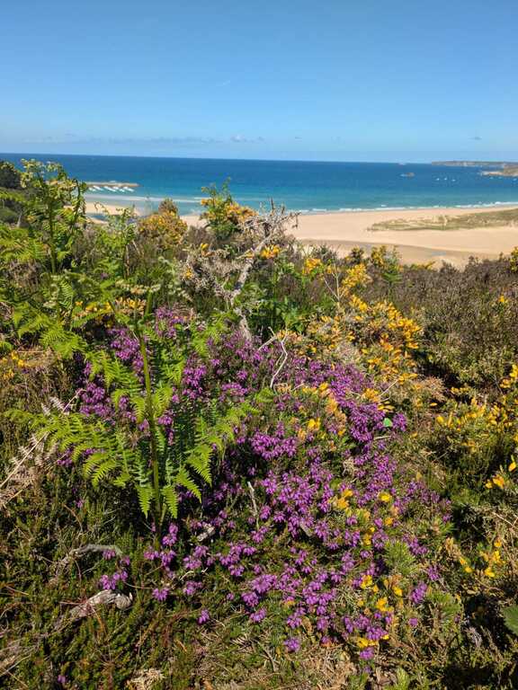 Au dessus de la plage de Sables d'or 