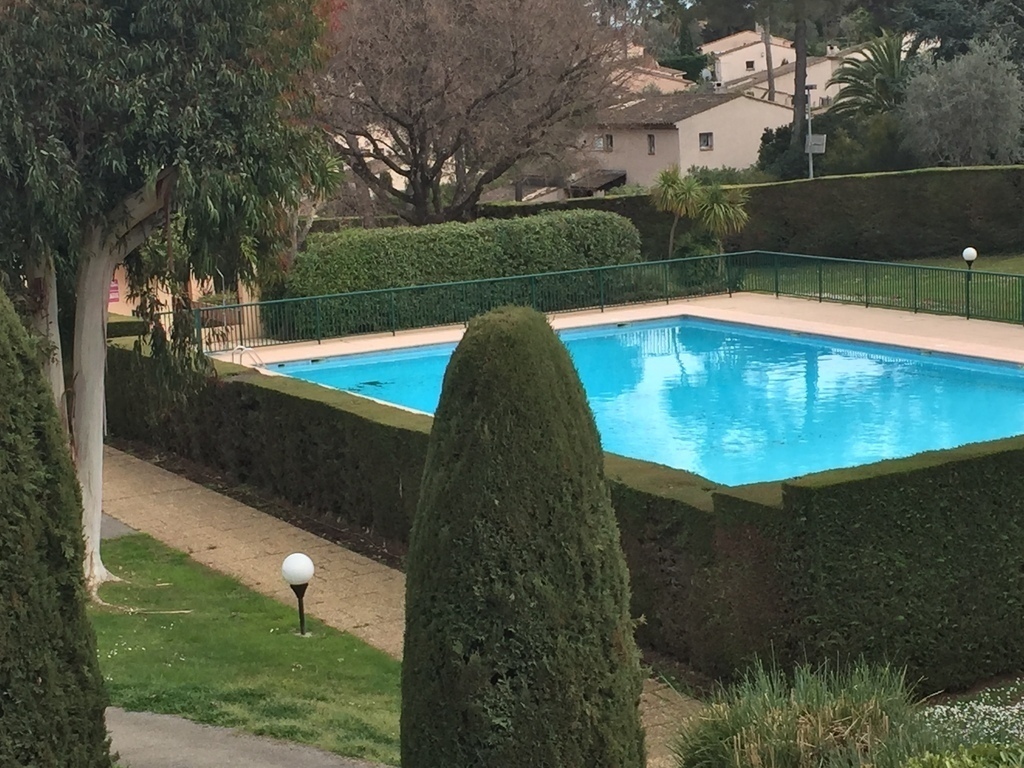 Swimming pool - view from terrace