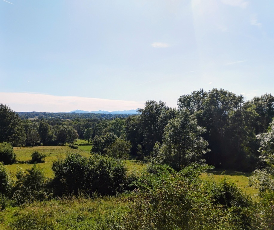 The view from the house