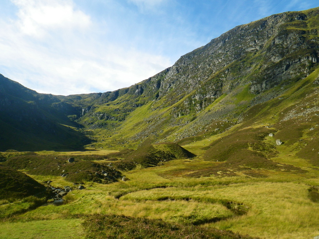 Corrie Fee (local)