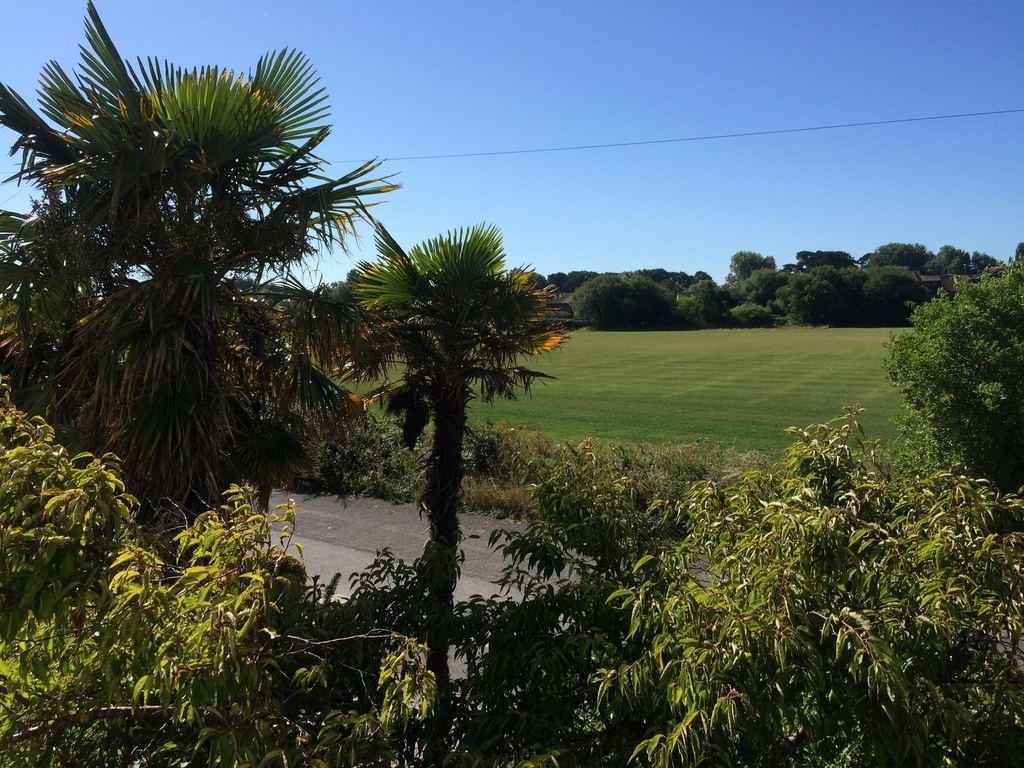 View from the front bedrooms