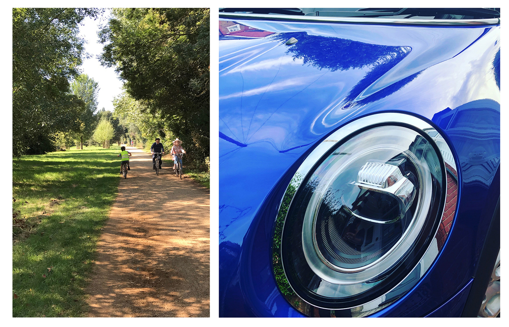 The Thames path provides lovely bicycle rides towards nearby Hampton Court Palace.