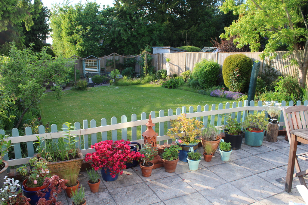 We have a large garden with plenty of lawn for running off excess energy