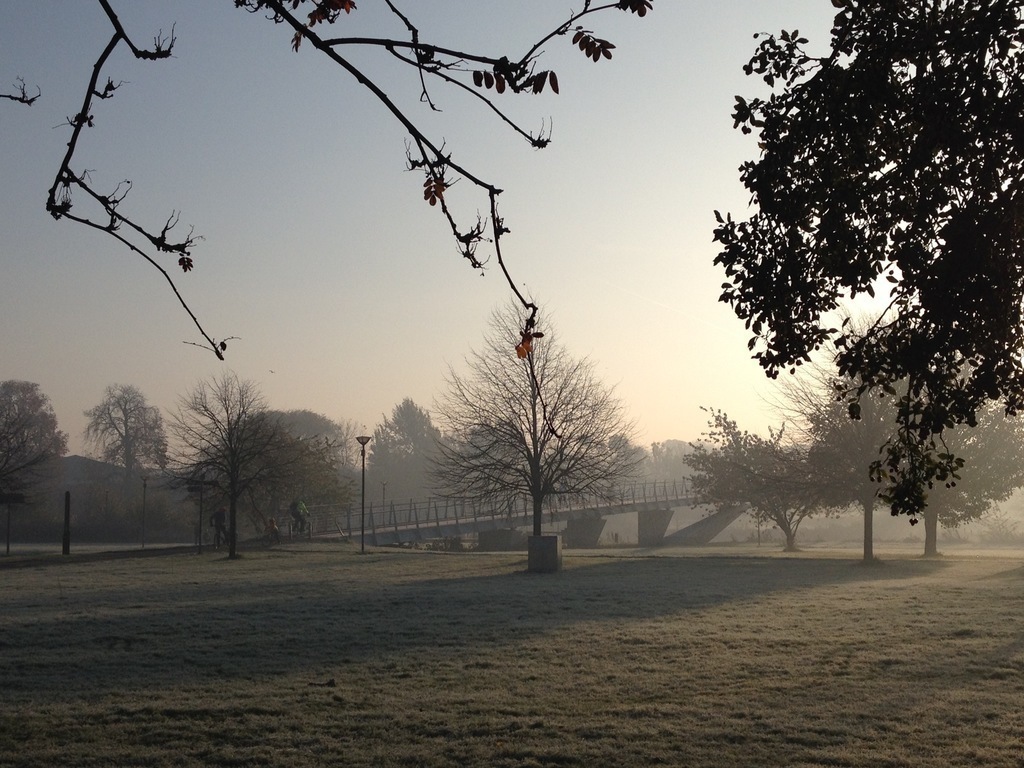 View from the garden on a frosty morning